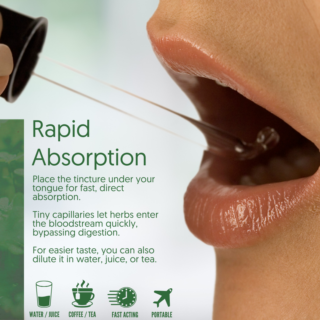 Airmed Organic Digestion Herbal Tincture | 6-Herb Botanical Blend Herbal Tincture Oasis Select