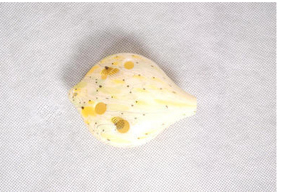 6-Hole Alto Ocarina | Eco-Friendly Resin, Multiple Designs Alto Ocarina Oasis Select Dandelion 6