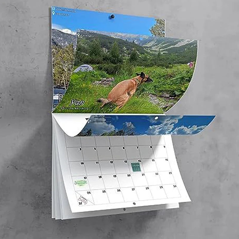 Funny Dog 2024 Wall Calendar – Humorous Pet Lover Gift Novelty Wall Calendar Oasis Select