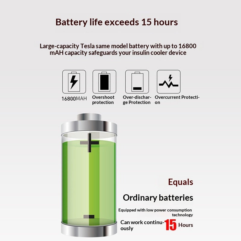 Portable Mini Medication Refrigeration Cabinet | 12V Cooler Mini Refrigeration Cabinet Oasis Select