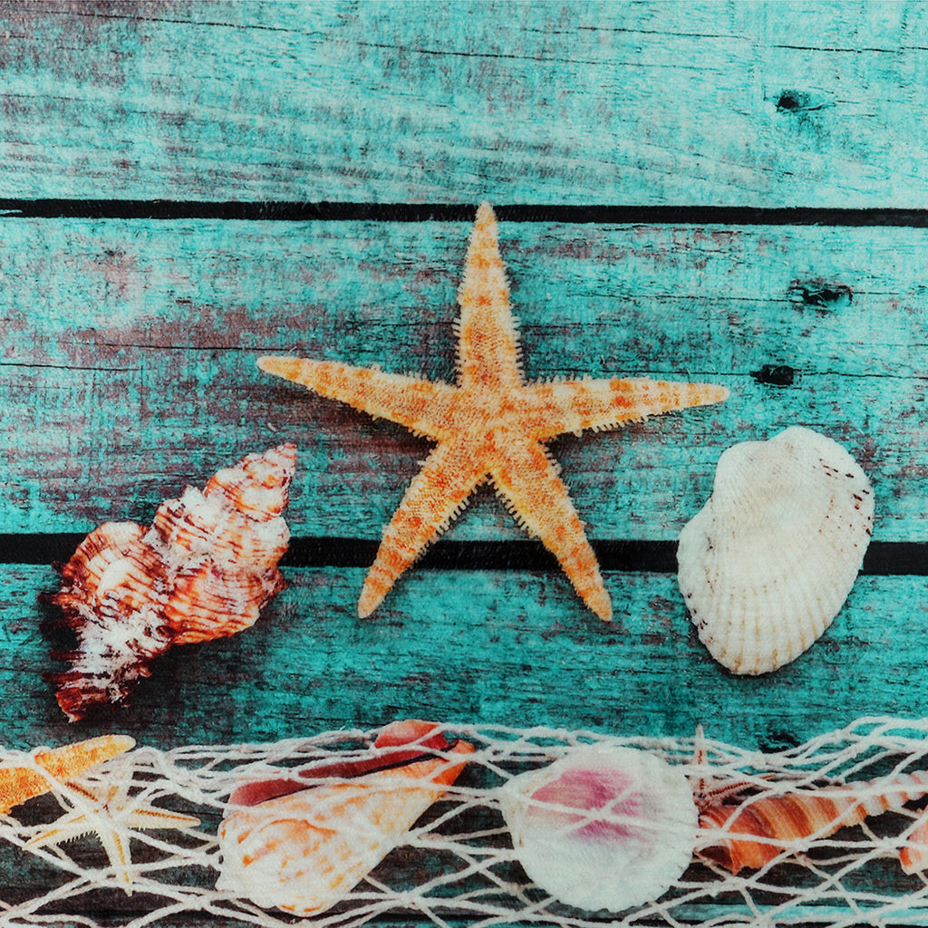 40x60cm Non-Slip Starfish Rug – Kitchen, Bath & Bedroom Mat Non-Slip Floor Mat Oasis Select