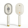 Electric Spray Airbag Massage Comb | USB-C Rechargeable Electric Hair Comb Oasis Select Beige Upgraded version