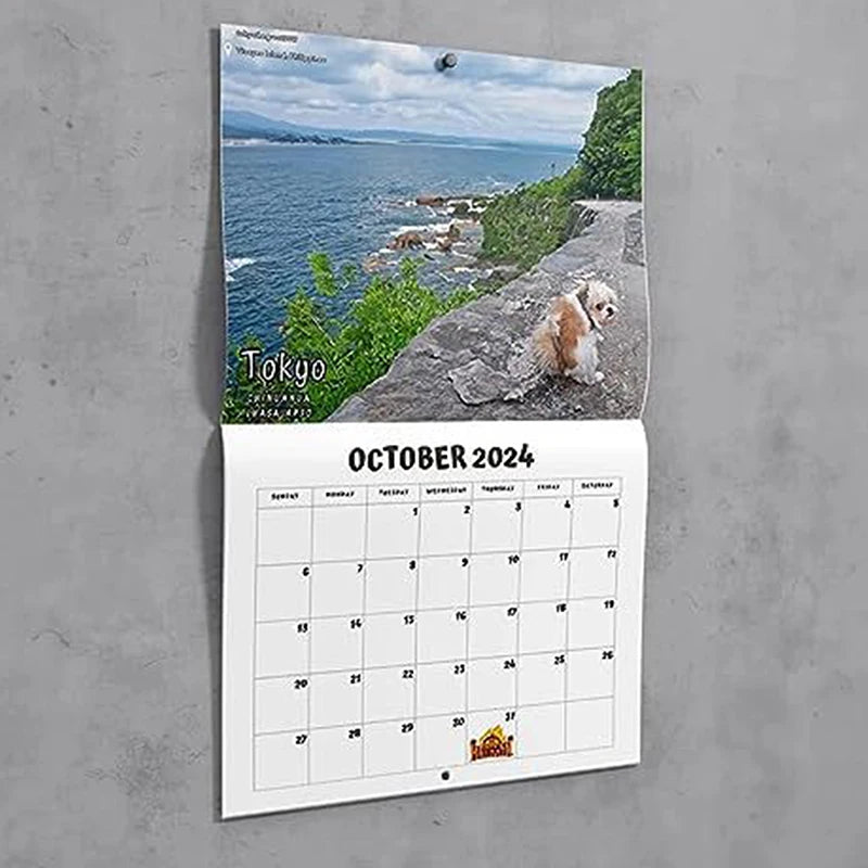 Funny Dog 2024 Wall Calendar – Humorous Pet Lover Gift Novelty Wall Calendar Oasis Select