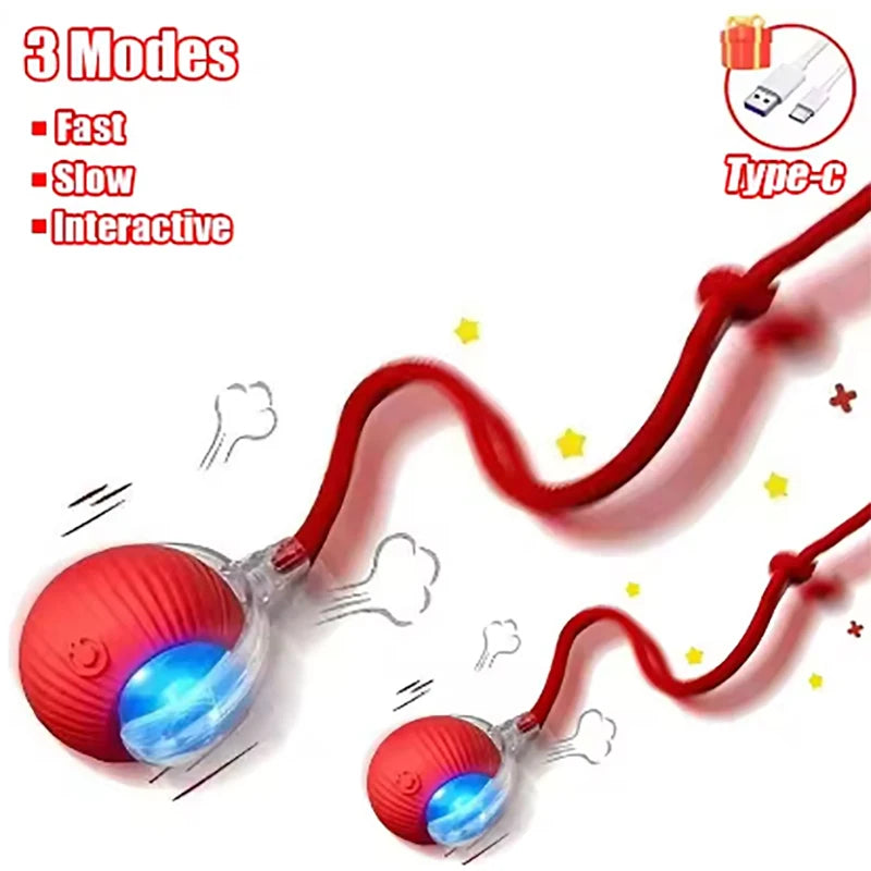 Pet Automatic Rolling Ball Interactive Ball Cat Toy Electric Cat Dog Training Imitation Mouse Rechargeable Product Oasis Select Red-2pcs CN