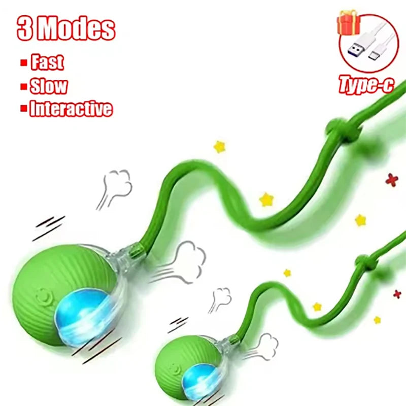 Pet Automatic Rolling Ball Interactive Ball Cat Toy Electric Cat Dog Training Imitation Mouse Rechargeable Product Oasis Select Green-2pcs CN