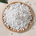 200g Natural River Rocks for Garden Landscaping White Pebbles Decorative Stones for Plants-Succulent & Cacti Potting 7-18MM Oasis Select 200g