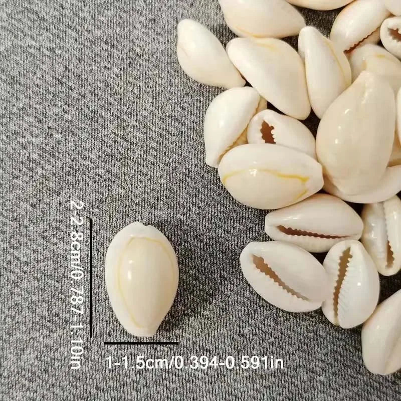 Natural Spiral Seashells – Jewelry, Fish Tank & Vase Filler