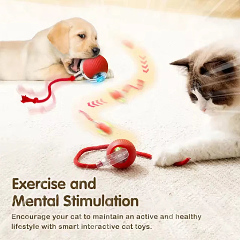 Pet Automatic Rolling Ball Interactive Ball Cat Toy Electric Cat Dog Training Imitation Mouse Rechargeable Product Oasis Select