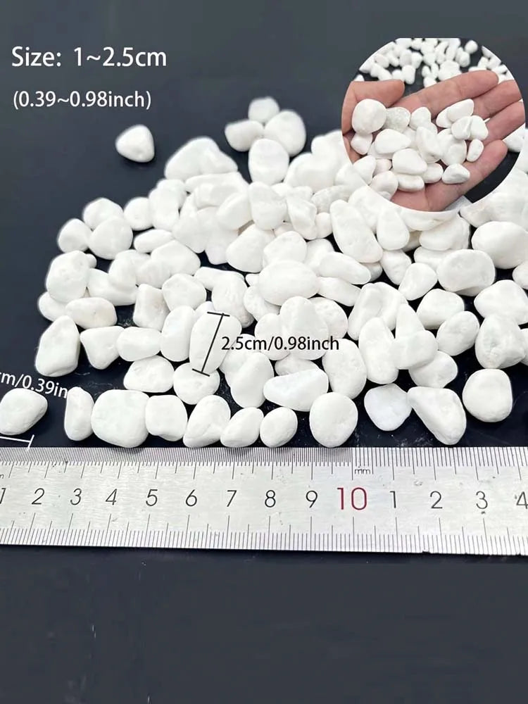 100/300/500g Cobblestone Decorative Stone Marbles for Succulent Bonsai Fish Tank Vase Plant Stone Home Garden Pebbles Decor Oasis Select
