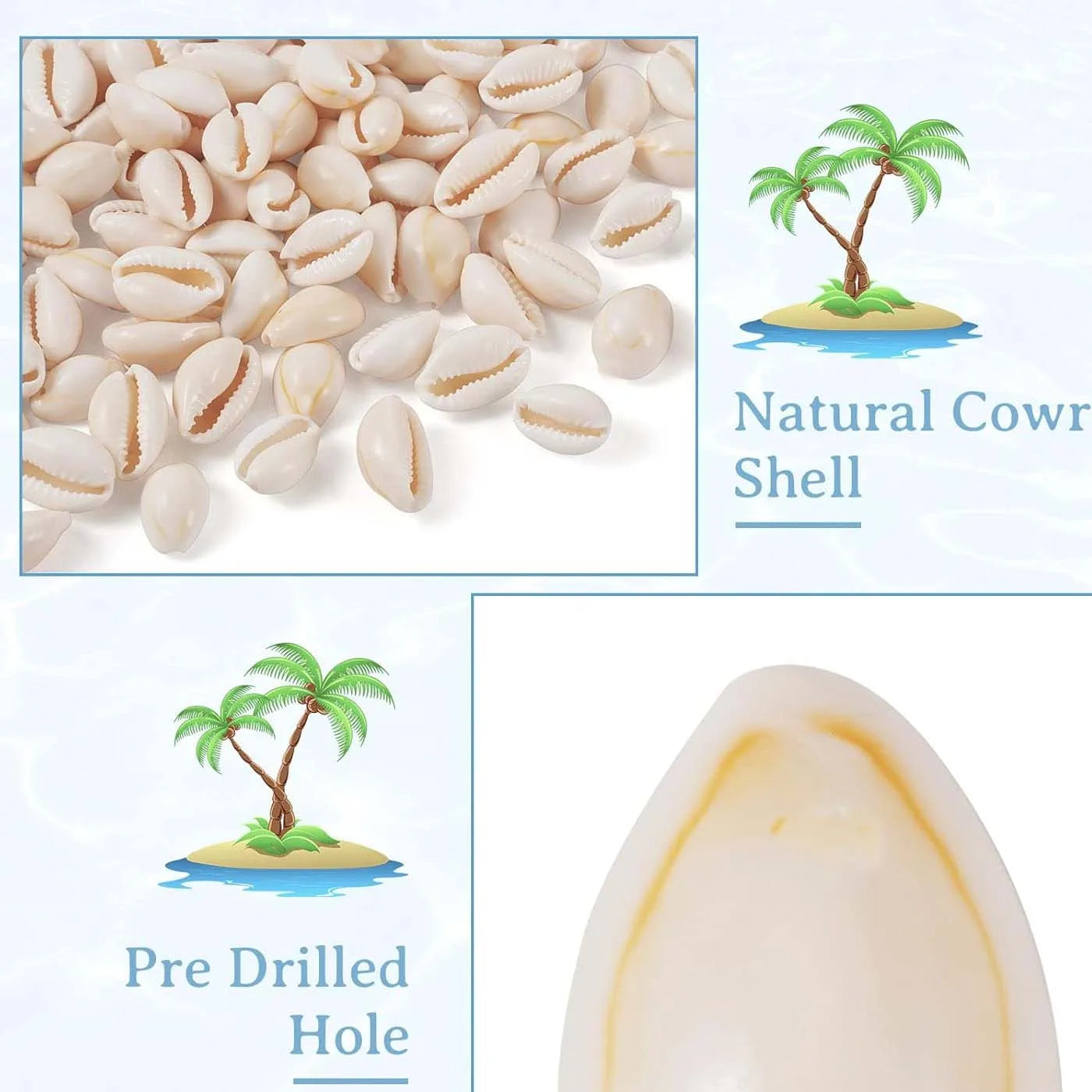 Natural Spiral Seashells – Jewelry, Fish Tank & Vase Filler