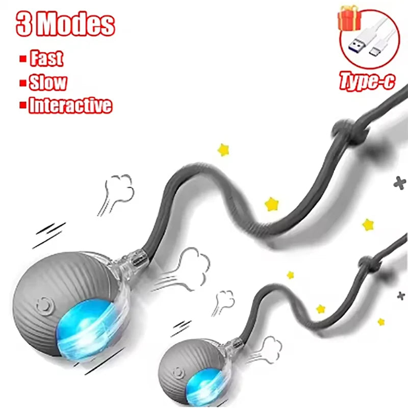 Pet Automatic Rolling Ball Interactive Ball Cat Toy Electric Cat Dog Training Imitation Mouse Rechargeable Product Oasis Select Gray-2pcs CN