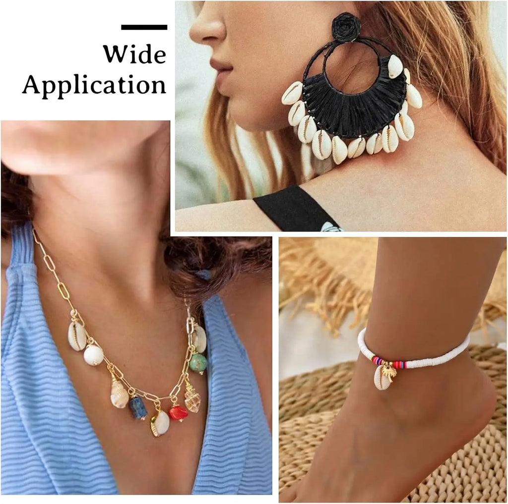 Natural Spiral Seashells – Jewelry, Fish Tank & Vase Filler