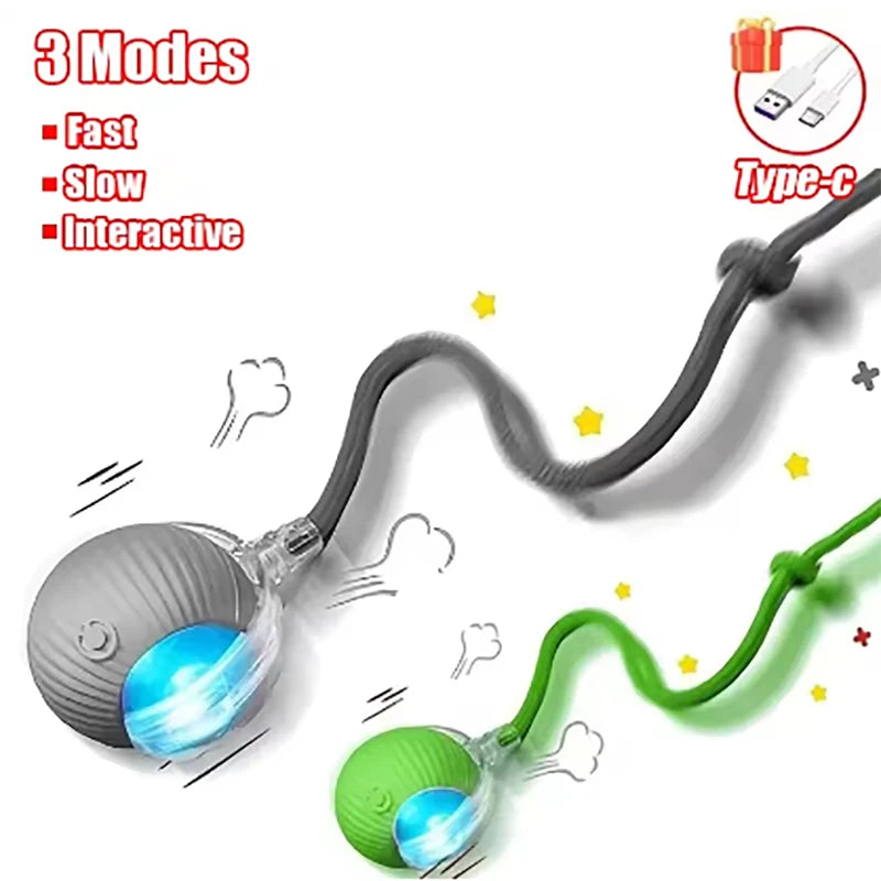 Pet Automatic Rolling Ball Interactive Ball Cat Toy Electric Cat Dog Training Imitation Mouse Rechargeable Product Oasis Select Green and Gray-2pcs CN