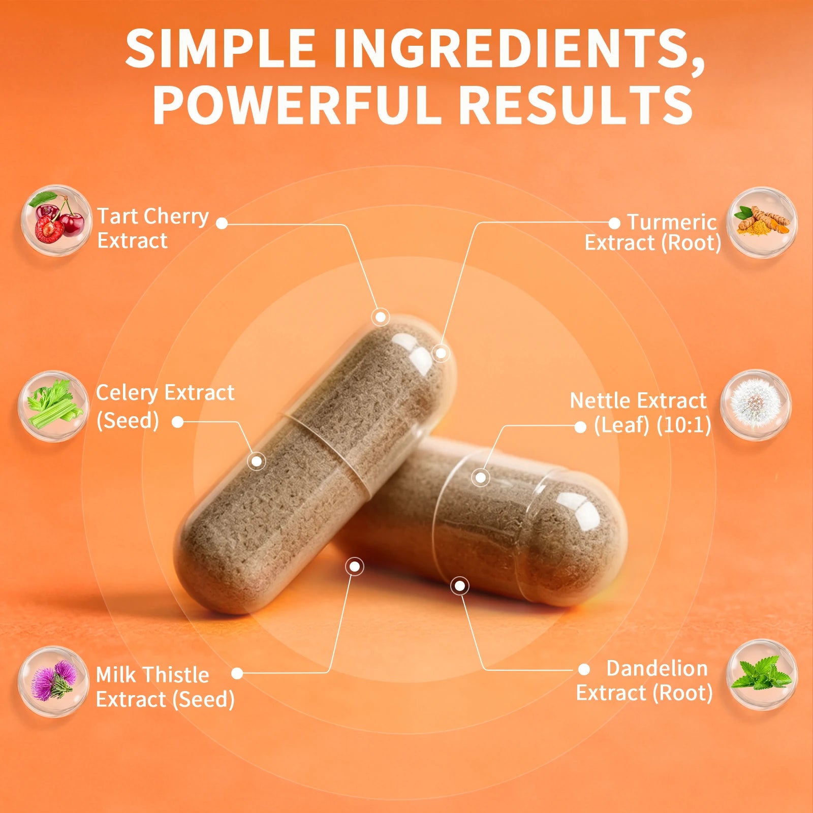 Beworths Tart Cherry Extract Pills Uric Acid Support Liver & Kidney Support Joint Healthy Support Natural Systemic Cleansing Oasis Select