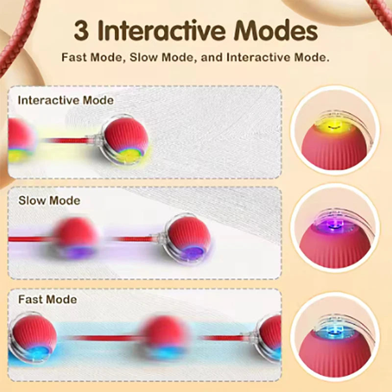 Pet Automatic Rolling Ball Interactive Ball Cat Toy Electric Cat Dog Training Imitation Mouse Rechargeable Product Oasis Select