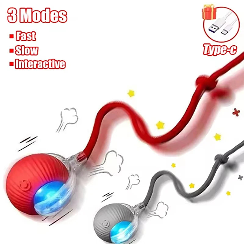 Pet Automatic Rolling Ball Interactive Ball Cat Toy Electric Cat Dog Training Imitation Mouse Rechargeable Product Oasis Select Red and Gray-2pcs CN