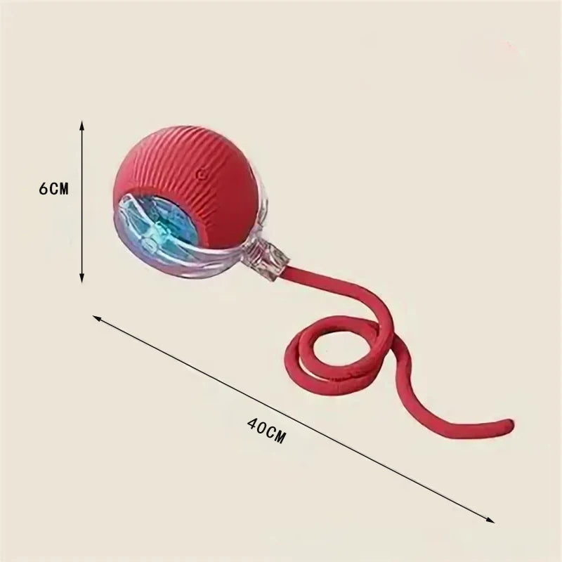 Pet Automatic Rolling Ball Interactive Ball Cat Toy Electric Cat Dog Training Imitation Mouse Rechargeable Product Oasis Select
