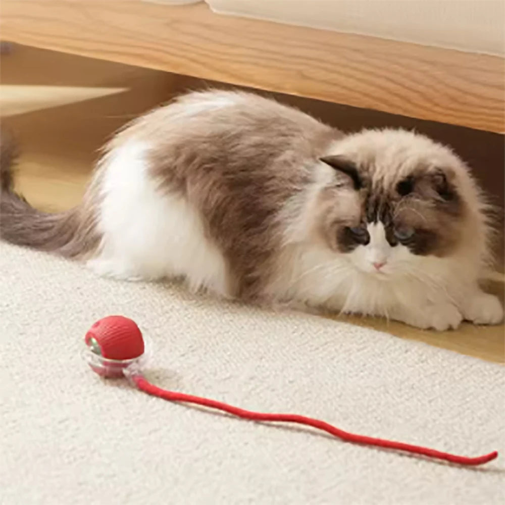 Pet Automatic Rolling Ball Interactive Ball Cat Toy Electric Cat Dog Training Imitation Mouse Rechargeable Product Oasis Select