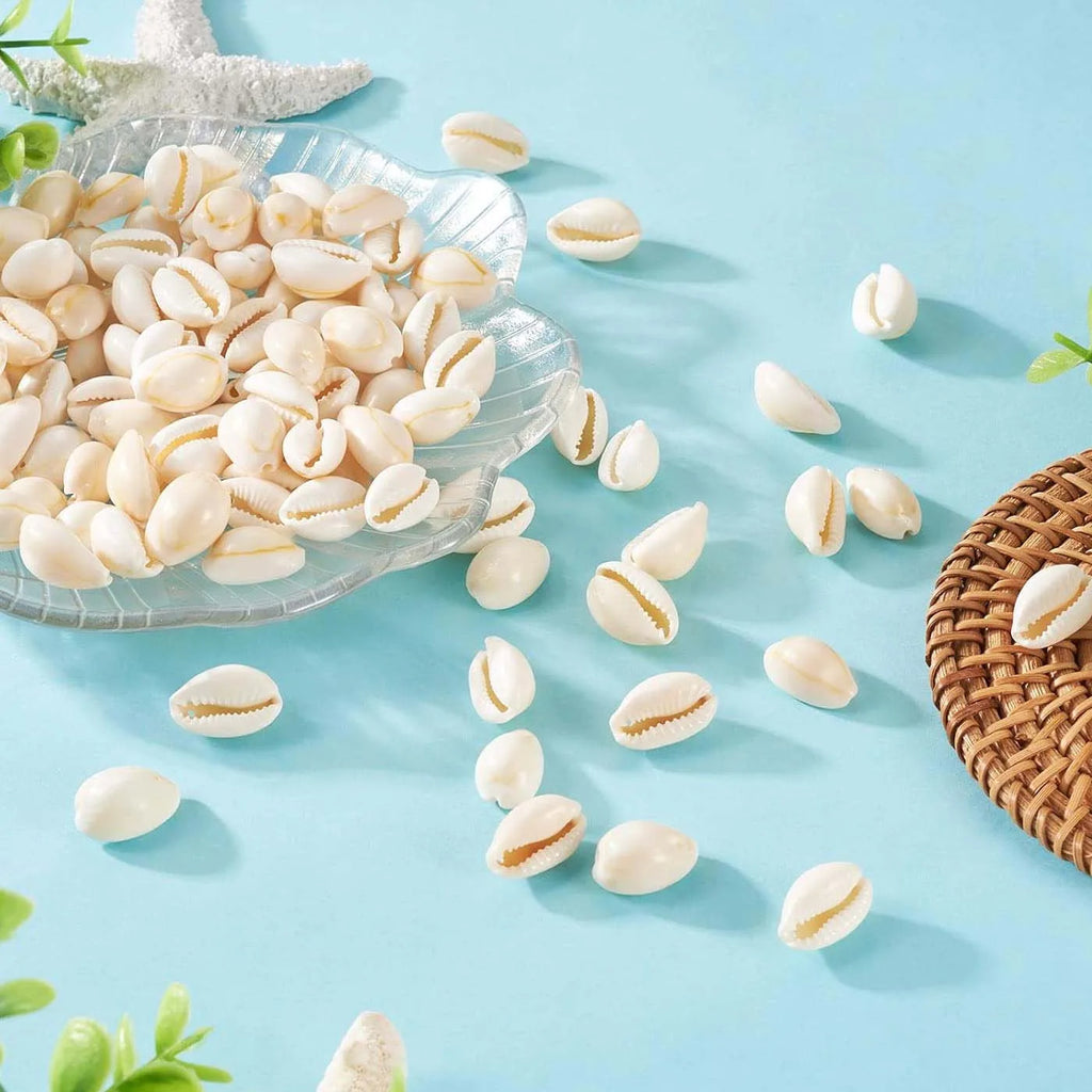 Natural Spiral Seashells – Jewelry, Fish Tank & Vase Filler