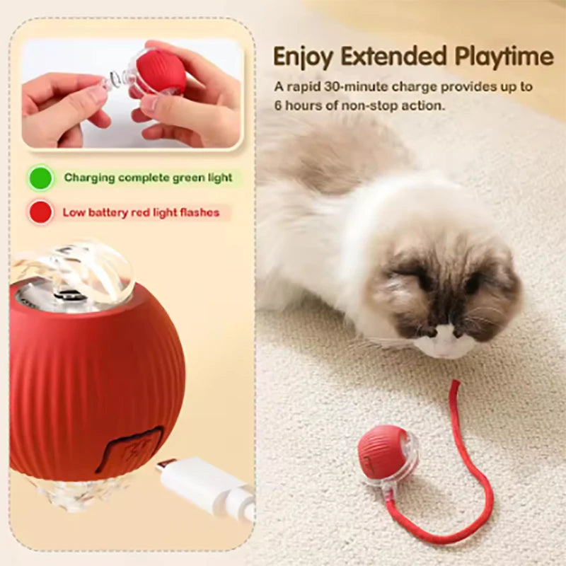 Pet Automatic Rolling Ball Interactive Ball Cat Toy Electric Cat Dog Training Imitation Mouse Rechargeable Product Oasis Select