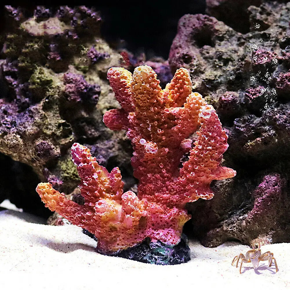 Artificial Coral Fish Tank Decoration Emulates Starfish Resin Reef Landscape Aquarium Decoration Craft Tabletop Decoration Oasis Select 1-8x4x9cm