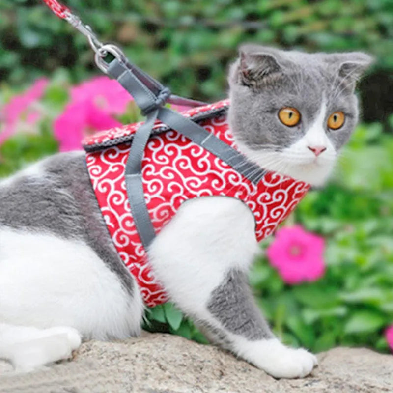 Cat Harness and Leash for Walking Lead Leash Set Adjustable Dog Collar Japanese Style Harness Vest Walking Leash For Dog Cat Pet Oasis Select