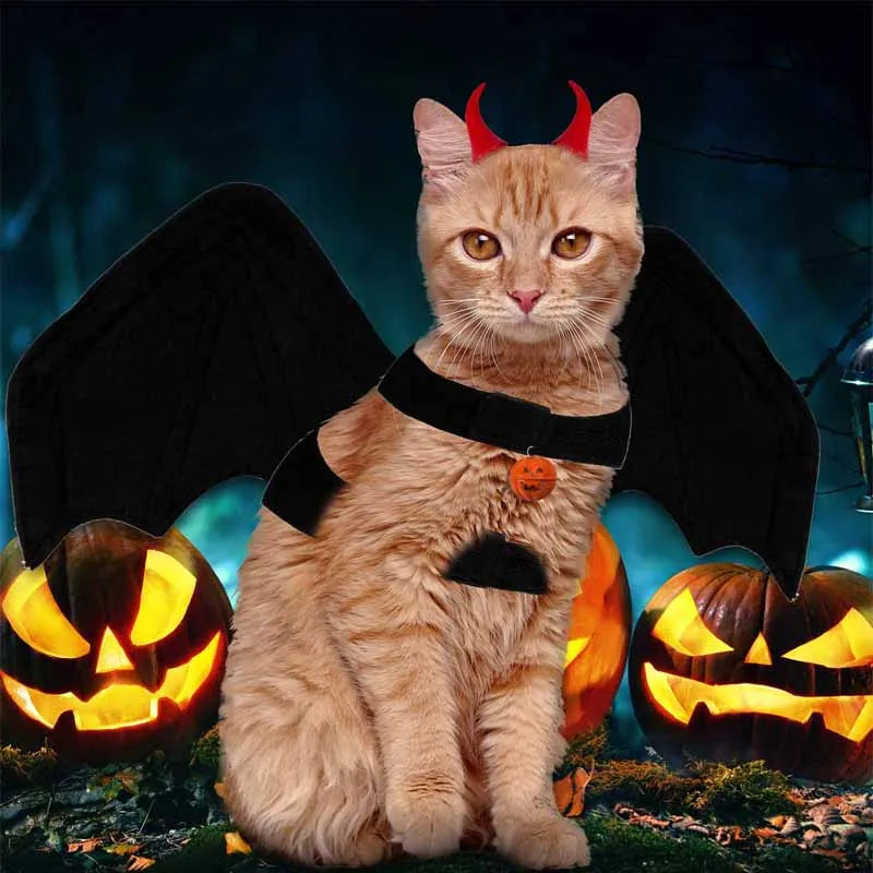 Halloween Pet Clothes Black Bat Wings Harness Cats Dogs Costumes Party Supplies Cosplay Props Outfits Funny Gifts for Small Dogs Oasis Select