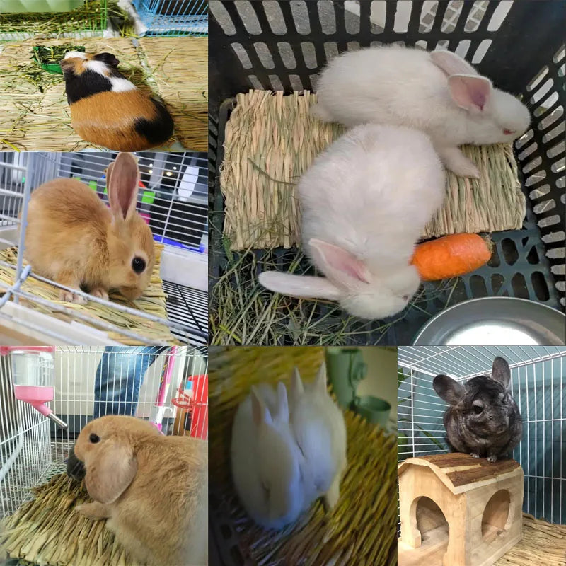 Rabbit Grass Chew Mat Small Animals Hamster Guinea Pig Cage Lapin Pour Maison Bird Nests Bunny House Pad for Rabbits Accessories Oasis Select