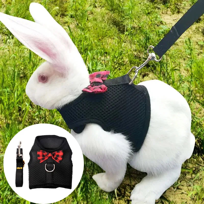 Mesh Soft Pet Rabbit Harness With Leash Strap for Hamster Rat Chinchillas Guinea Pig Small Animal Clothes Vest Rabbits Accessory Oasis Select