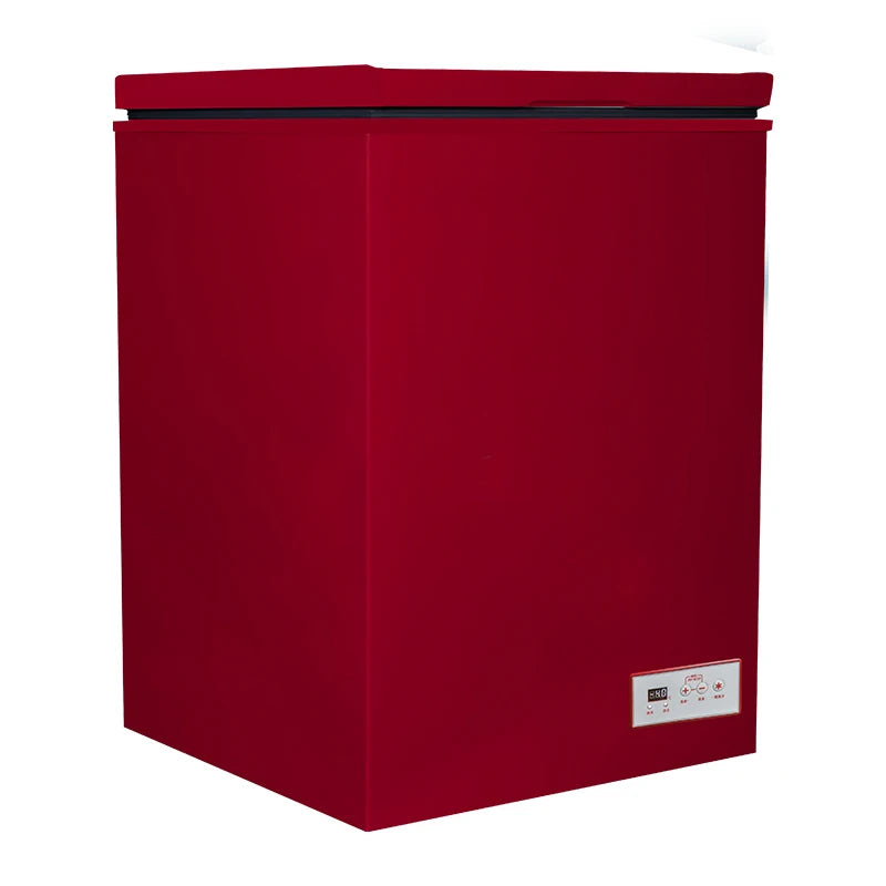 LZHZXY 100L Upright Freezer 200W Frost-Free | BD(C)-100