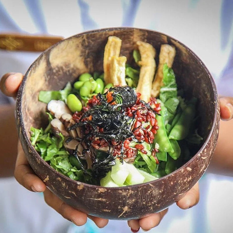 Creative Natural Coconut Wood Bowl Eco Friendly Fruit Salad Noodles Rice Ice Cream Wood Bowl Art Crafts Decoration Oasis Select