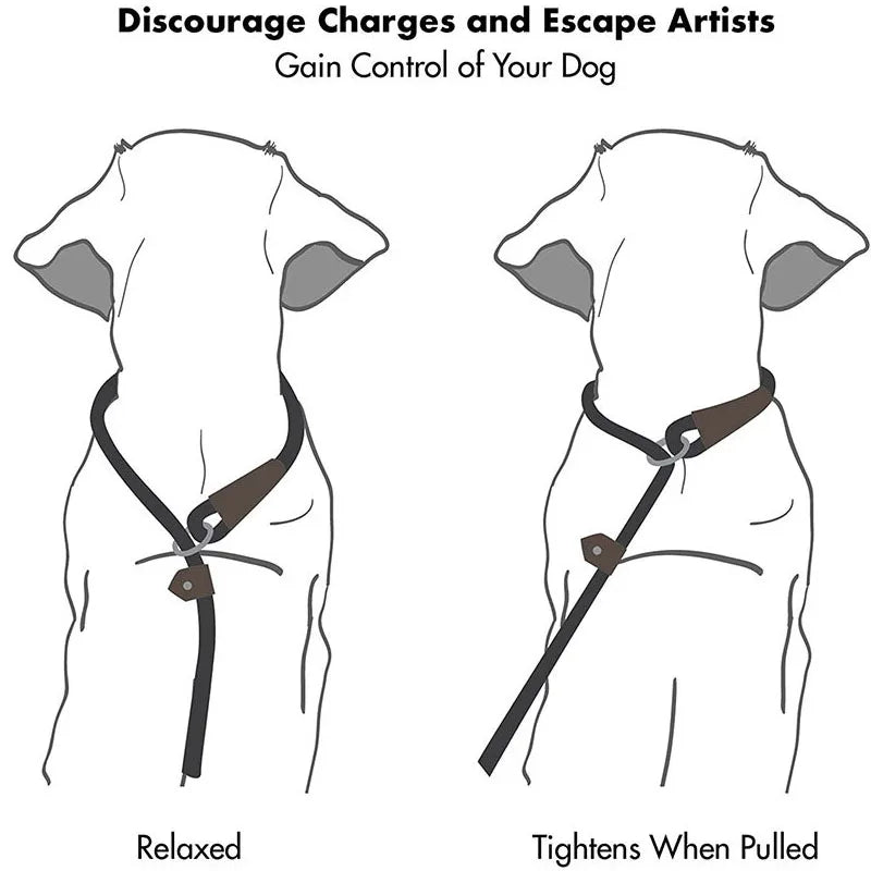 Pet Dog Leash Traction Rope P Chain Durable Large Dog Leash Nylon Adjustable Loop Collar Strongest Pulling Rope Leashes for Dogs Oasis Select