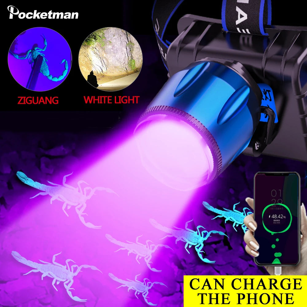 POCKETMAN 2-in-1 UV LED Headlamp | USB Rechargeable & Waterproof