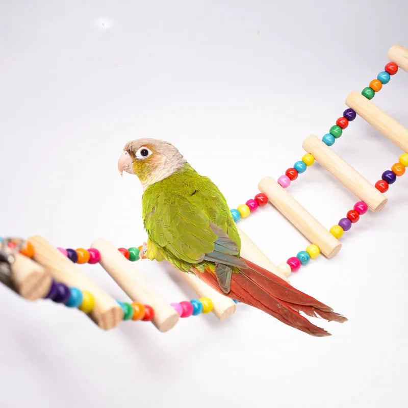 Parrots Ladders Pets Birds Climbing Toys for Parrots Game Bird Calopsita Parakeets Accessories Stairs with Balls Agapornis Toys Oasis Select