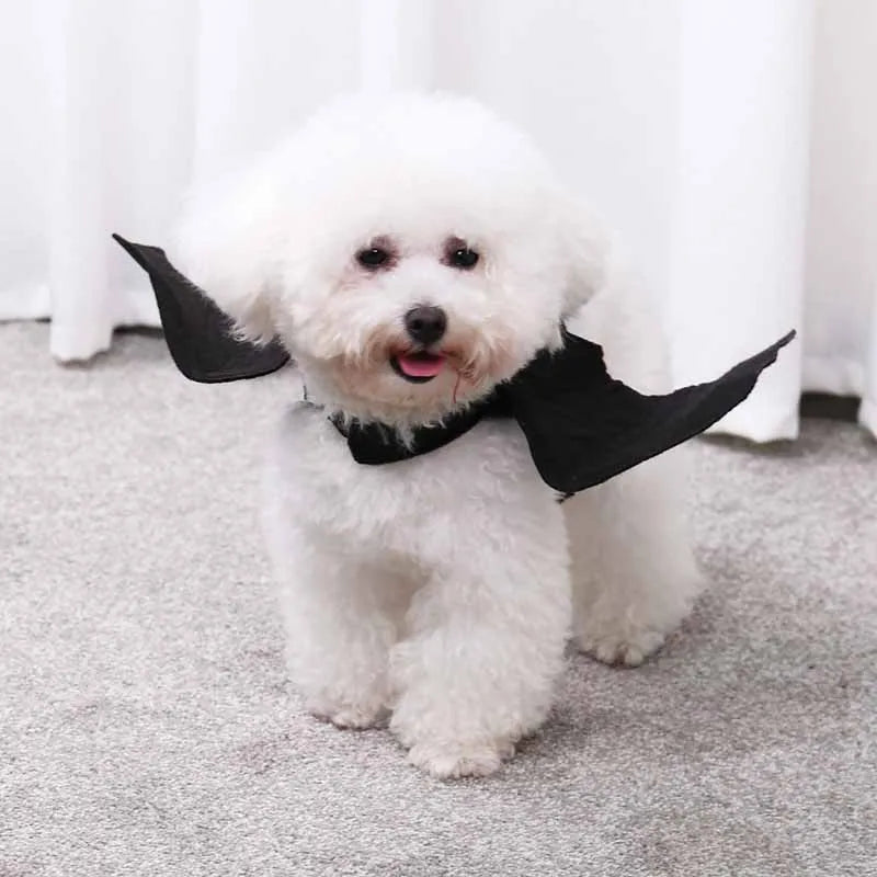Halloween Pet Clothes Black Bat Wings Harness Cats Dogs Costumes Party Supplies Cosplay Props Outfits Funny Gifts for Small Dogs Oasis Select