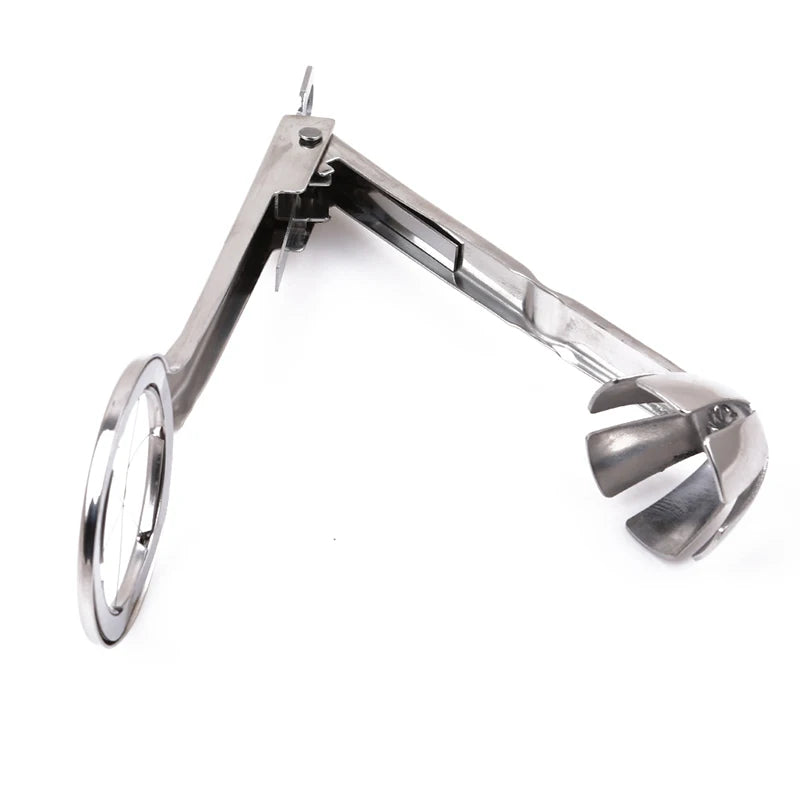 Multifunction Stainless Steel Egg Slicer Eggs Cutting Egg Wedges Fruits Slicing Strawberry Cheese Kitchen Tool Oasis Select