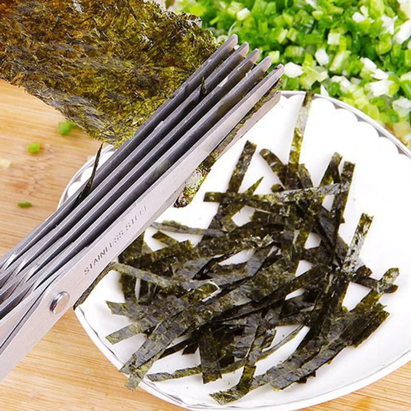 5-Layer Green Onion & Herb Scissors – Stainless Steel Shears Kitchen Herb Scissors Oasis Select