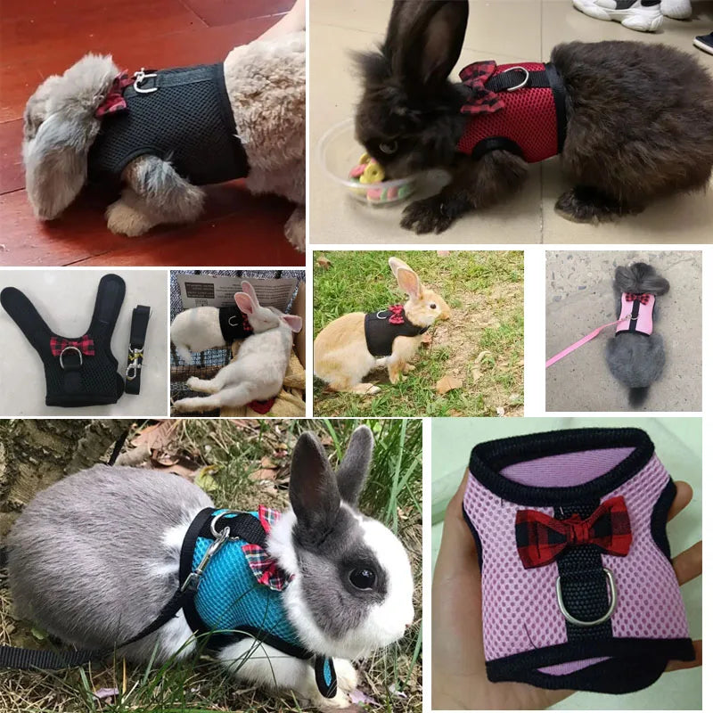 Mesh Soft Pet Rabbit Harness With Leash Strap for Hamster Rat Chinchillas Guinea Pig Small Animal Clothes Vest Rabbits Accessory Oasis Select