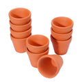 10Pcs Red Pottery Flower Pot Clay Pottery Planter Cactus Flower Pots Succulent Pot With Drainage Hole Great For Plants Oasis Select Orange-M