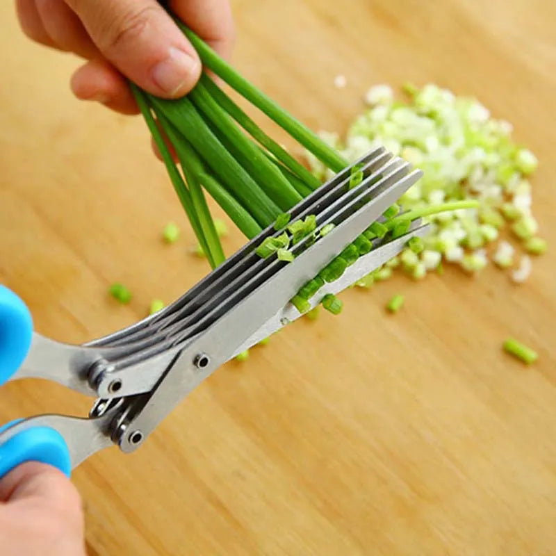 5-Layer Herb & Scallion Scissors – Multi-Blade Kitchen Shears Multi-Blade Kitchen Scissors Oasis Select