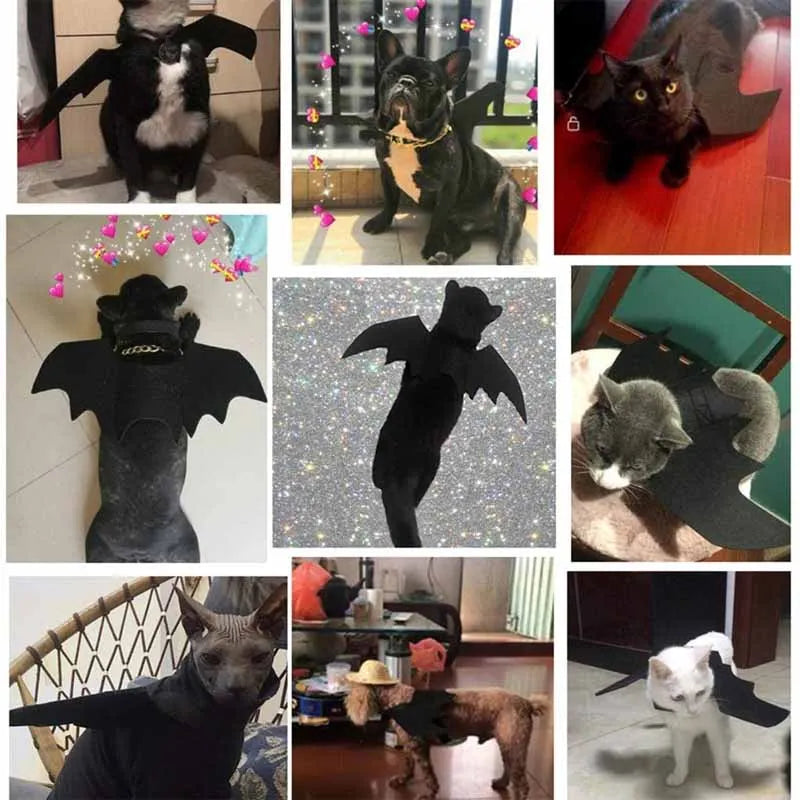 Halloween Pet Clothes Black Bat Wings Harness Cats Dogs Costumes Party Supplies Cosplay Props Outfits Funny Gifts for Small Dogs Oasis Select
