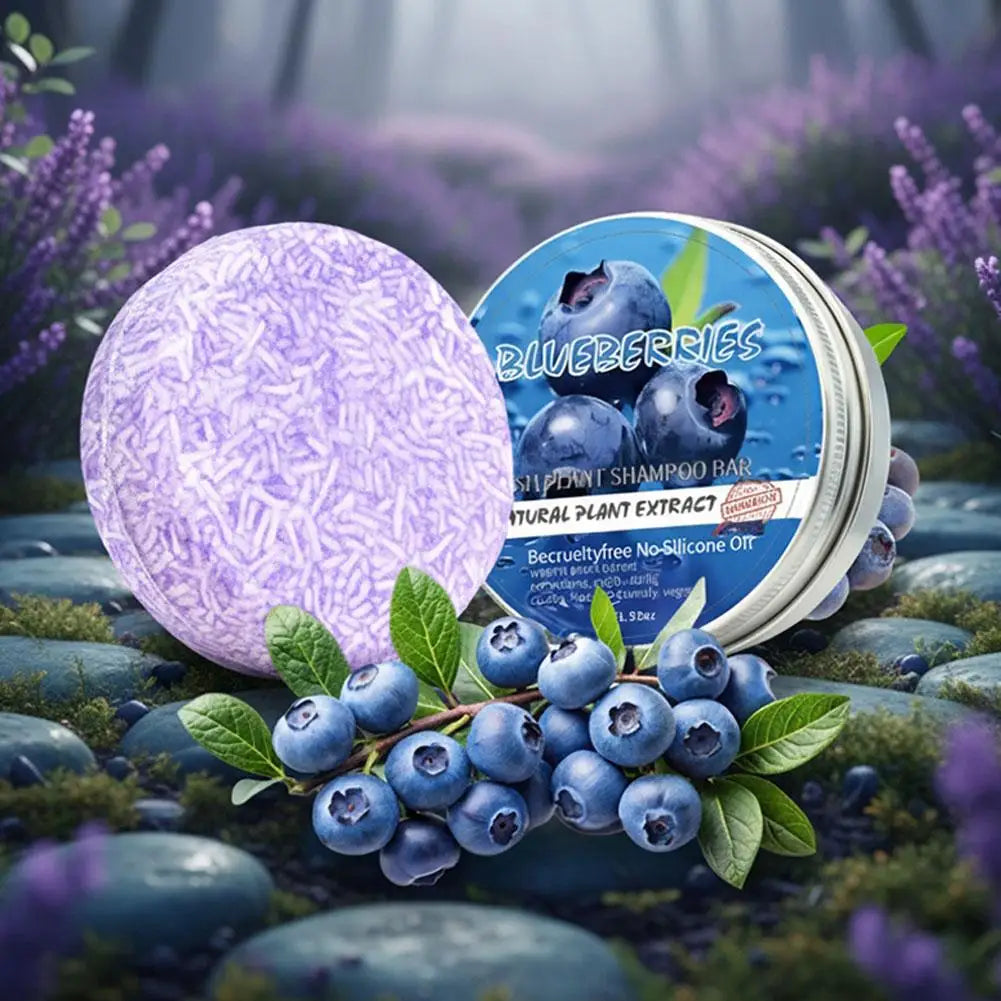 Blueberry Shampoo & Conditioner Bar – Silicone-Free, All Hair Shampoo Conditioner Bar Oasis Select