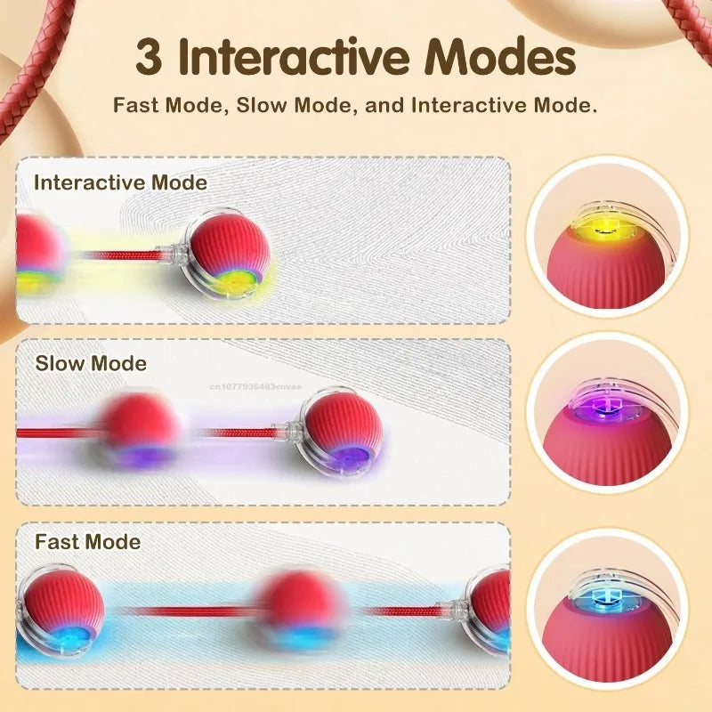 Cat Interactive Ball Training Self-moving Kitten Electric Cat Ball Toys Electronic Automatic Rolling Magic Ball Toys for Cat Oasis Select