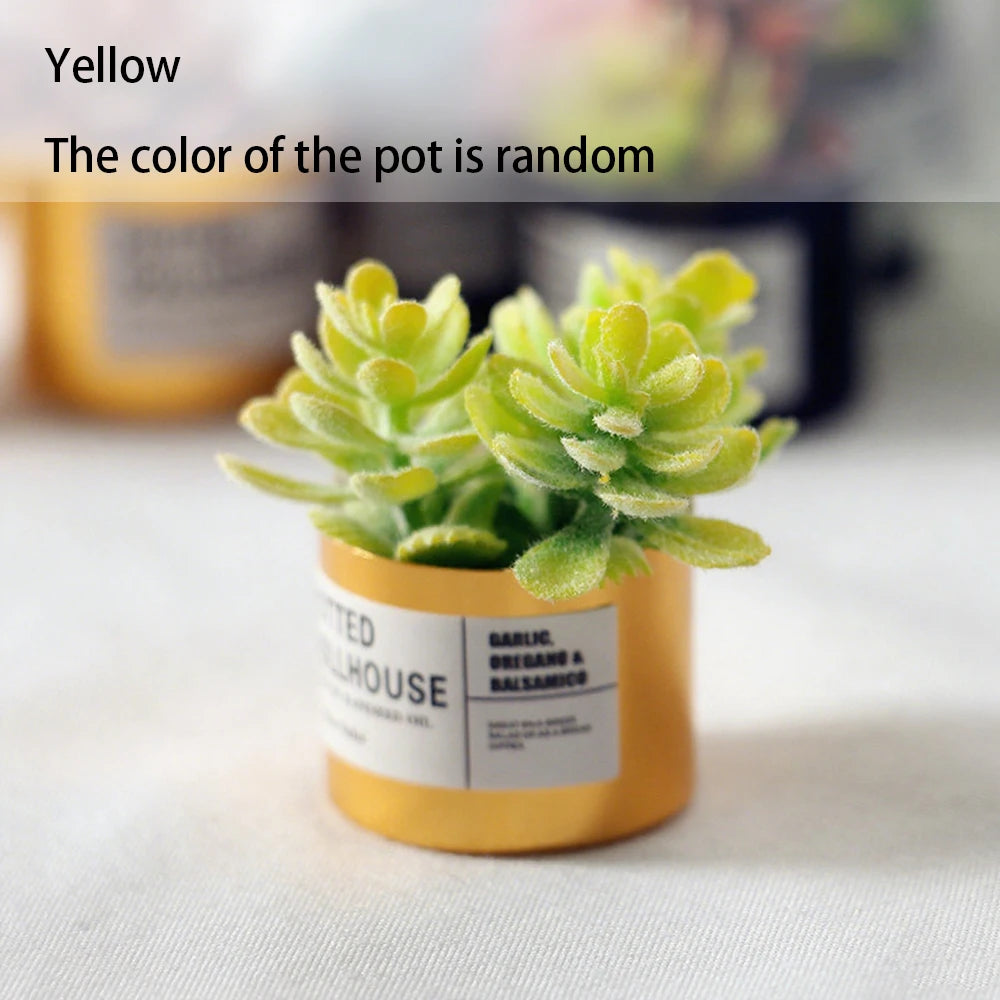 Mini Plastic Succulent Pots Small Succulent Pots Funny Plant Pots Doll House Decor Fairy Garden Micro Landscape Desk Accessories Oasis Select Yellow
