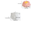 3D Large Peony Candle Silicone Mold Handmade Flower Scented Candle Gypsum Candle Wax Mould Resin Soap Making Supplies Home Decor Oasis Select Style 3