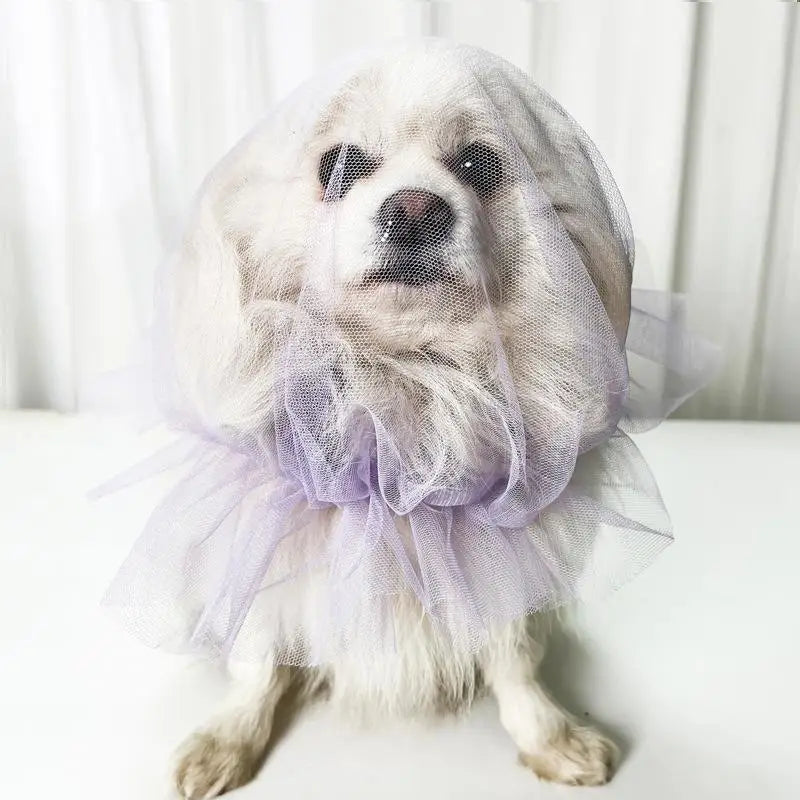 Pet Anti-Mosquito Headgear Random Eating Prevention Breathable Dog Head Cover Pet Protective Mask Comfort Anti-Bite Head Cover Oasis Select Purple