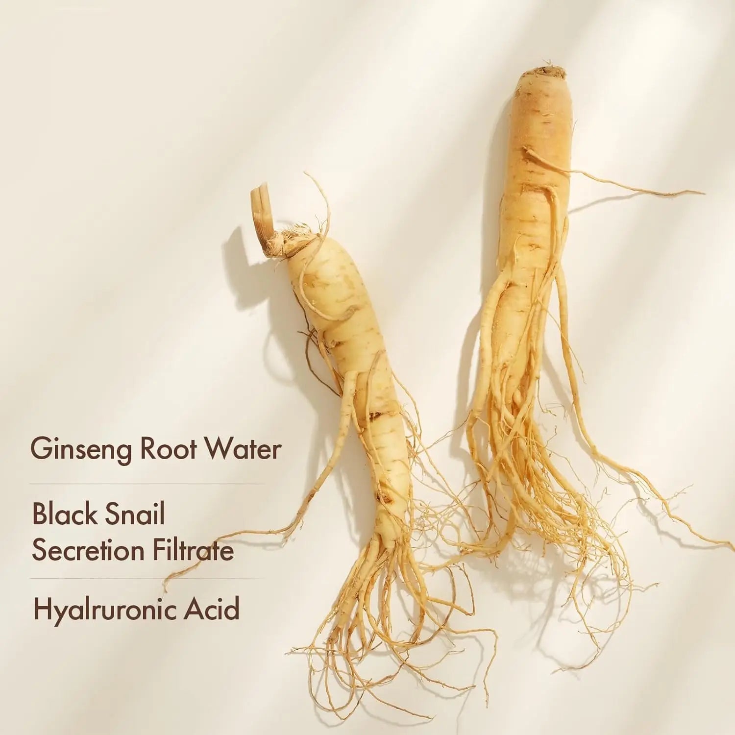 Ginseng Cordyceps Face Serum Oil – Firming & Lifting