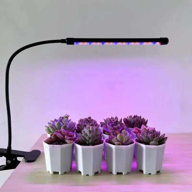 SHINEKNOT Full Spectrum LED Grow Light | Indoor Plant Lamp