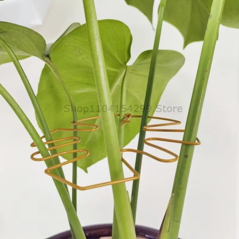 Adjustable Metal Plant Stem Support Flower Climbing Stem Holder Vine Branch Iron Hooks Garden Plant Climbing Plant Trainer Oasis Select