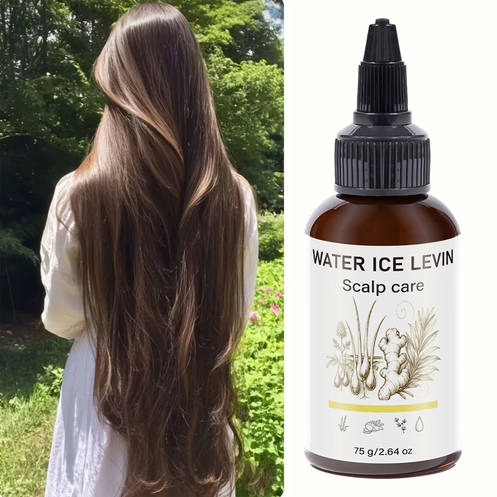 Ginger Infused Scalp Treatment Oil – Daily Hair & Scalp Care Scalp Treatment Oil Oasis Select